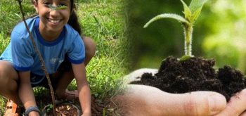 Goianira participa de iniciativa nacional para fortalecer ações de adaptação às mudanças climáticas